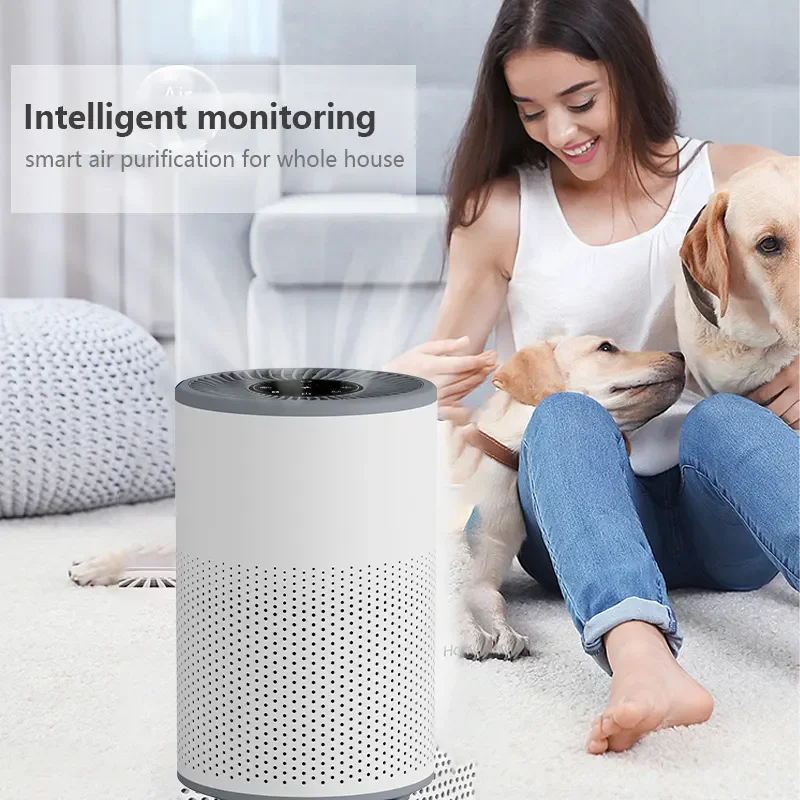 Customized Korea Personal Mini Portable Car Office Fresh Air Purifier With Hepa Filter