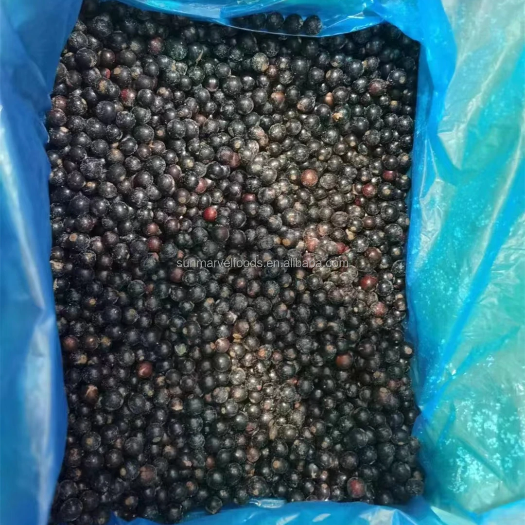 Factory Price Frozen fruits The best Frozen blueberries in Best Sellers from China