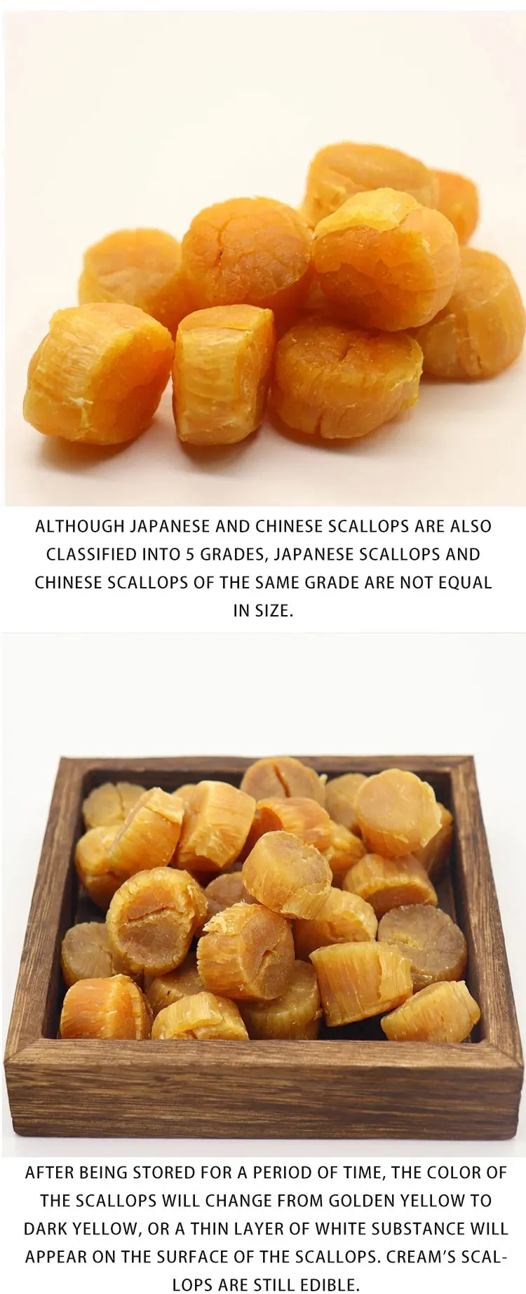 Wholesale High Quality Bulk Natural Air Dried Scallops without Shell Large Hotate Seafood for Refrigeration Storage