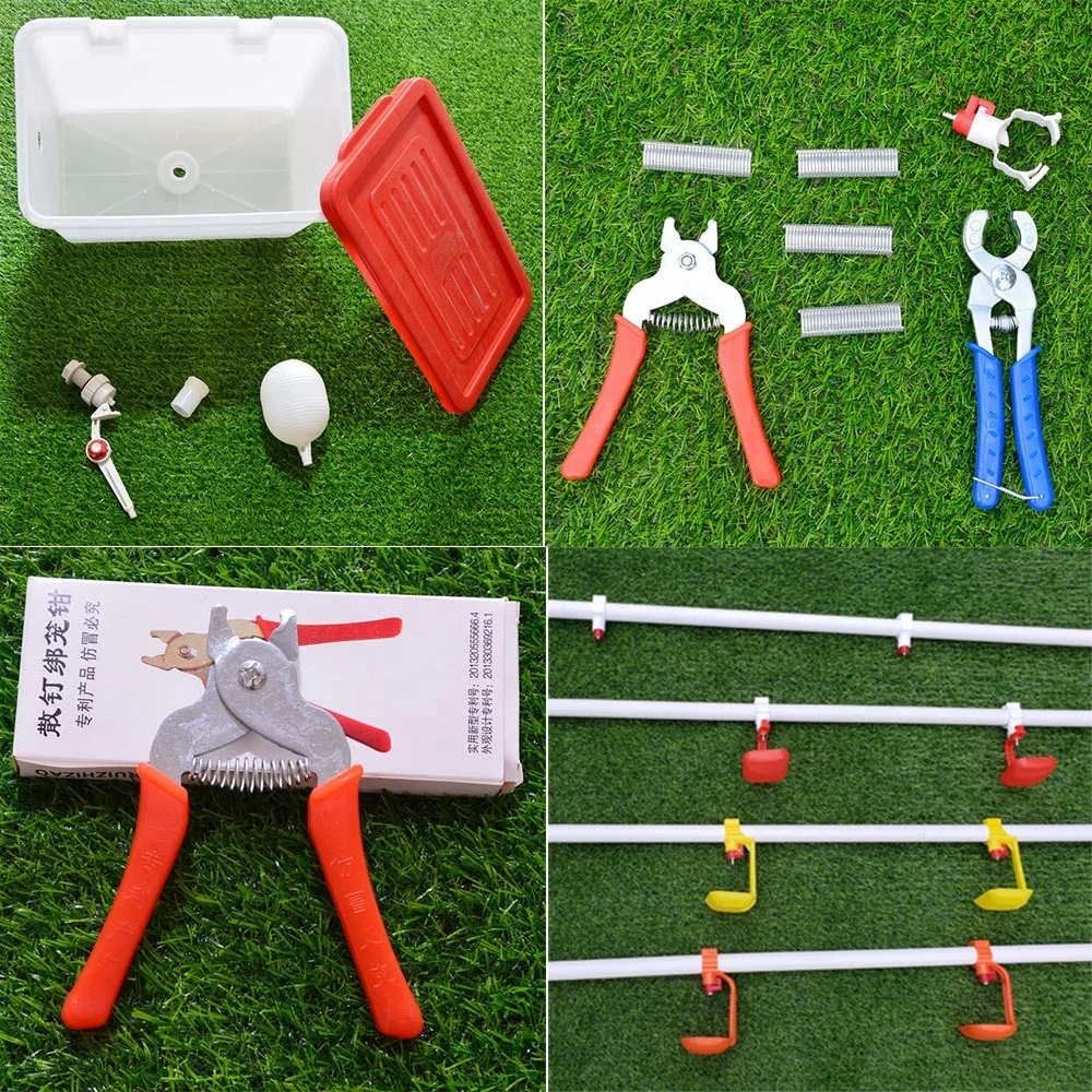 3 tiers 4 tiers Chicken Egg Layer Battery Cage For Tanzania Poultry Farm