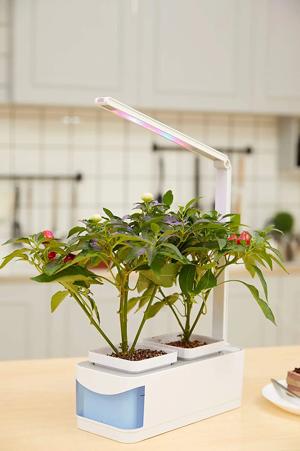 Hydroponic growing system with Led light for indoor, smart garden planter, kitchen, automatic timer, 12 pods