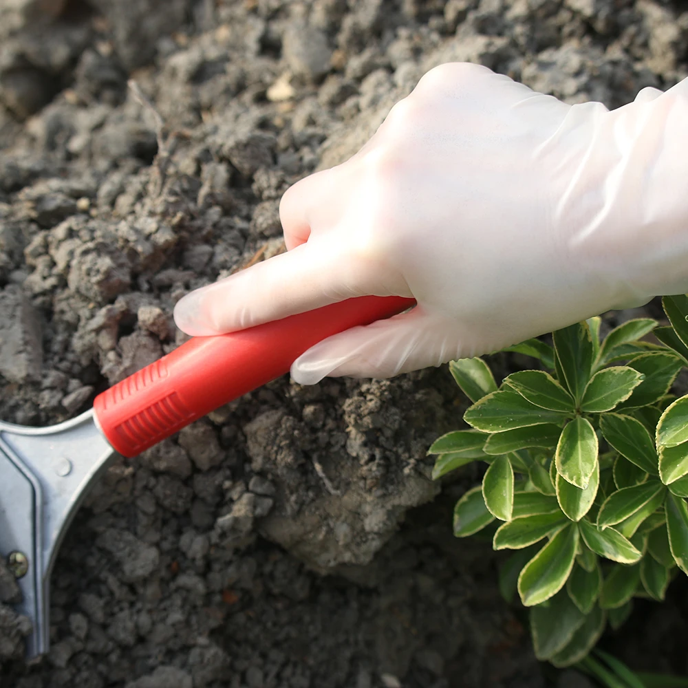 Salon Care Disposable Powder Free vinyl care glove