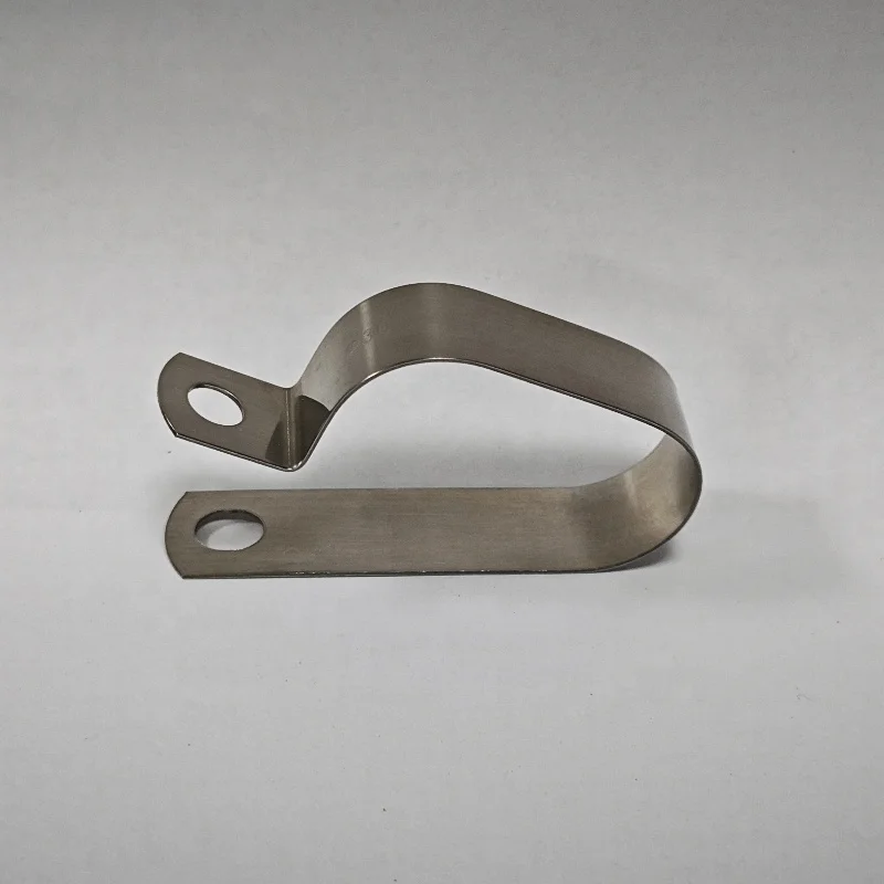 Customized Double P Type Rubber Lined Hose Clamps 304 Stainless Steel P Clamps for 2 Hoses Cables Pipes P Clip Clamp with Rubber