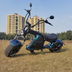 New model Factory Direct 2000/W3000W/4000W Newly designed EEC COC electric scooter Citycoco Adult edition