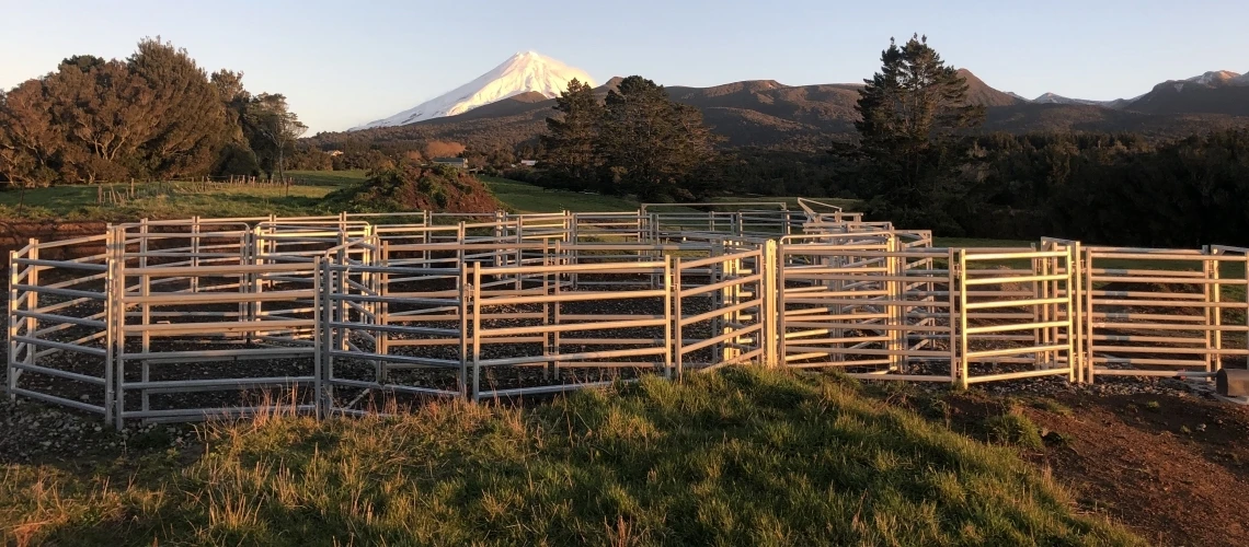 cattle corral panel (34)