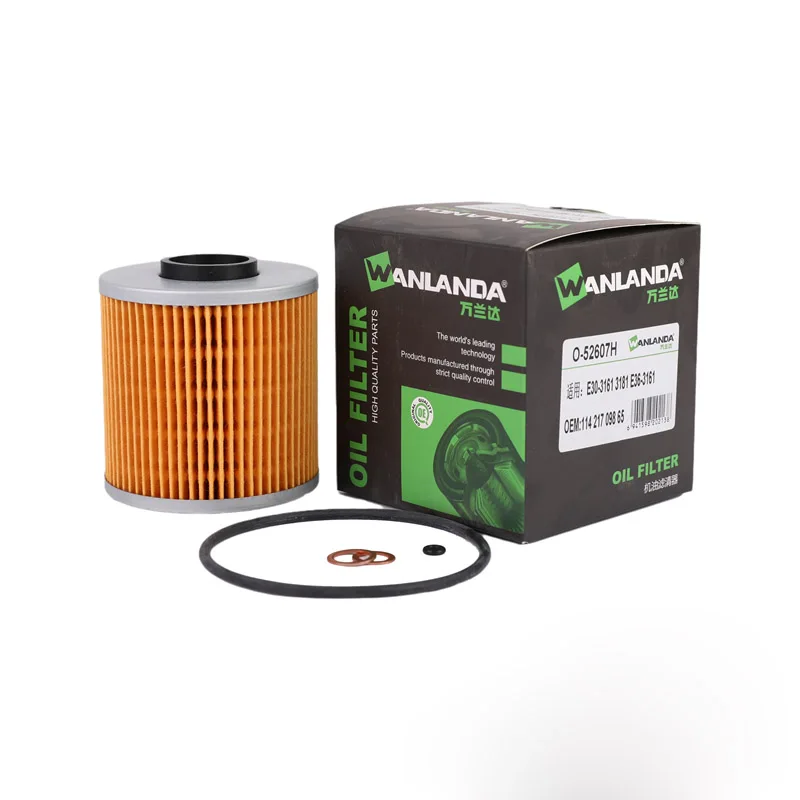 Japan Paper Oil Filter Element 11421727300 for BMW