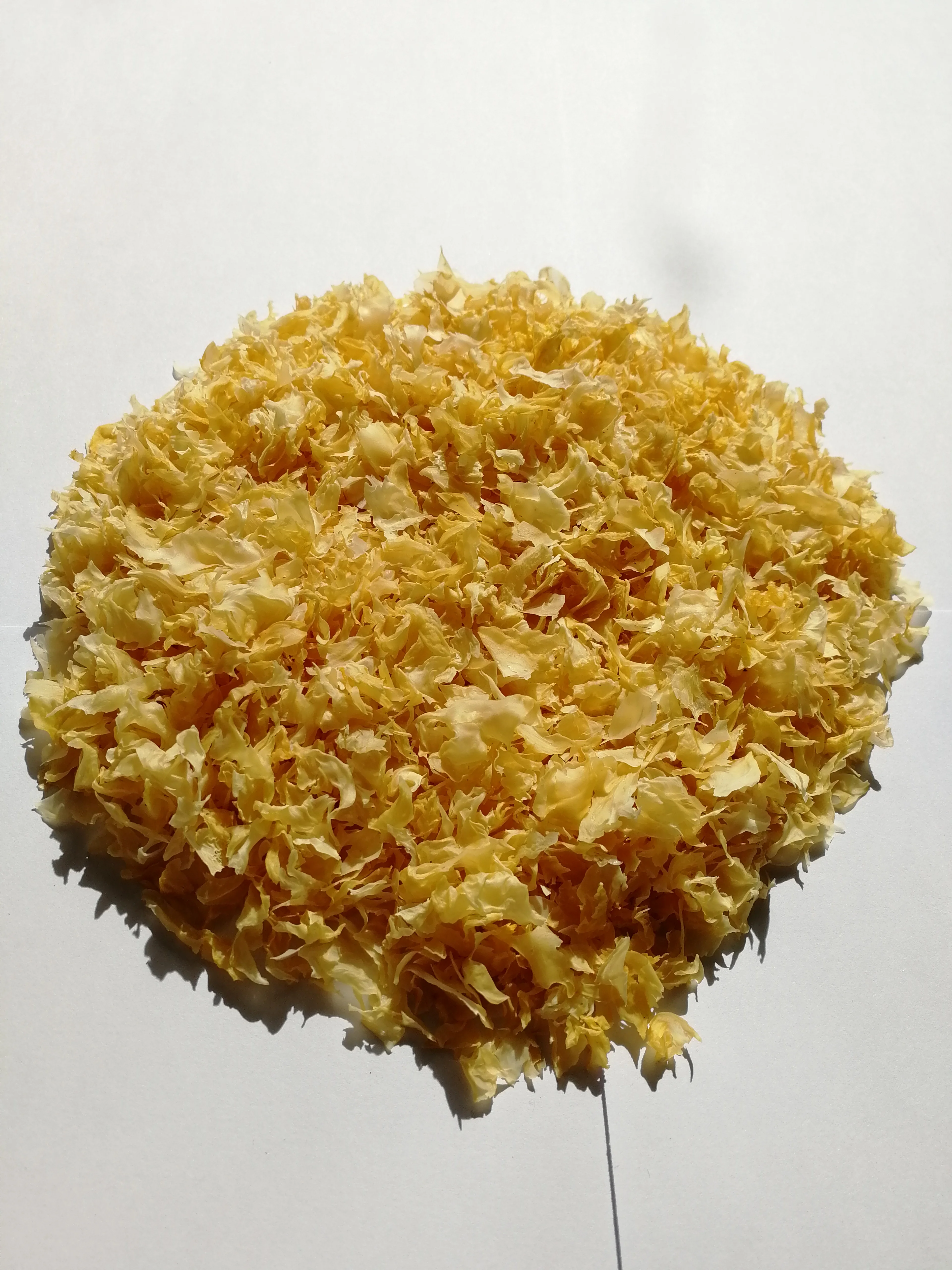 
Wholesale Broken Tremella White Wood Ear Snow Fungus Mushroom 