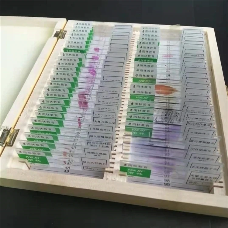 Laboratory Biology Preparation microscope slides are available in middle school laboratories with 50 slide sets