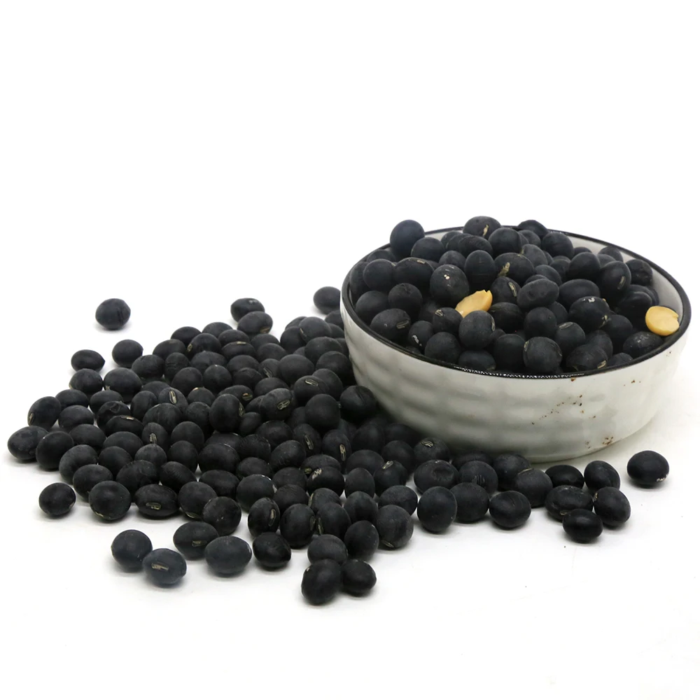 Special hot selling superior quality Bulk Black Soya Bean Organic Black Beans