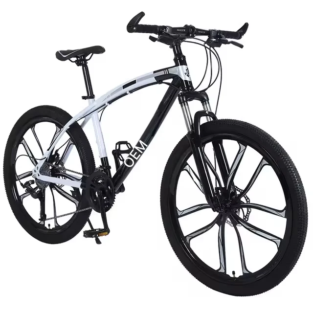 High quality double disc brake Fitness shaping Aerobic exercise 21 speed mountainbikes 24 inch mountain cycle