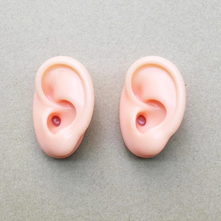 cheap silicone ear models hearing aids display tool