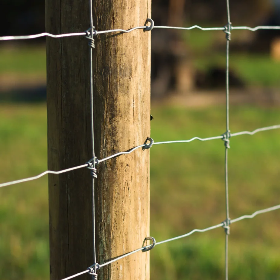 Hot Sale Galvanized Steel Deer Horse Fence Cattle Goat Farm Fence deer netting