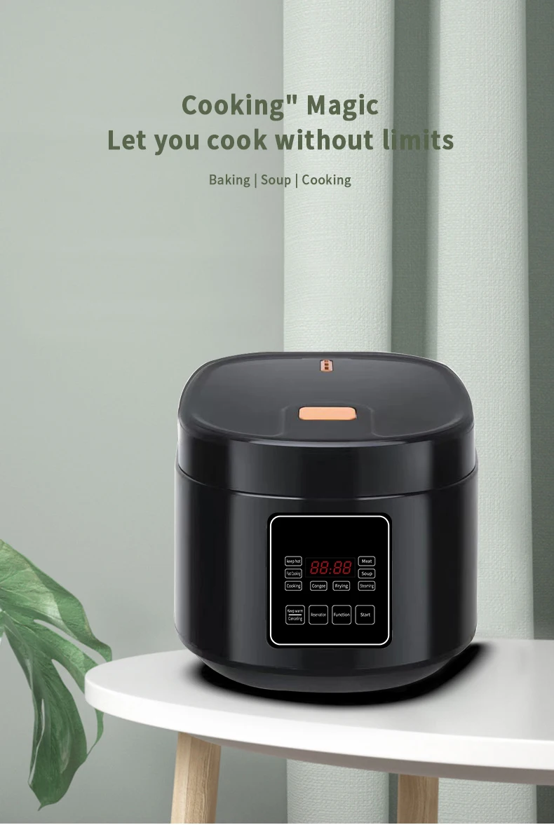 OEM/ODM Latest Modern Design Multi-functional 4L 5L 6L Capacity Non-stick Mini Rice Cooker Electric Automatic
