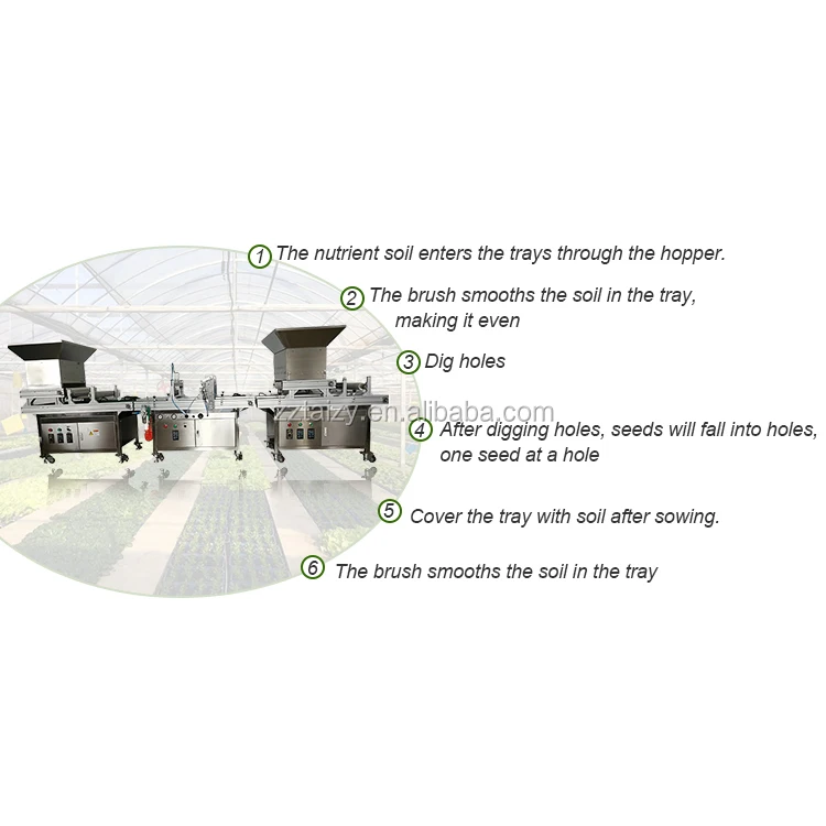 onion seeders transplanters paper pot seeder plates vegetable tray seeding machine