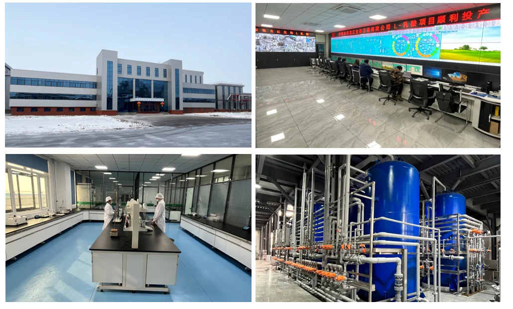 Supply Animal feed additive l-lysine, Arginine, Tryptaphan, Valine, Isoleucine, Choline