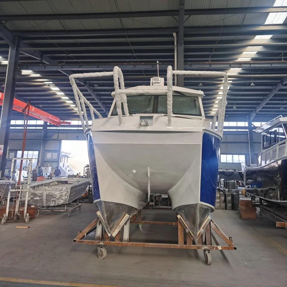 New 8.8m /29ft aluminum catamaran boat with outboard motor design