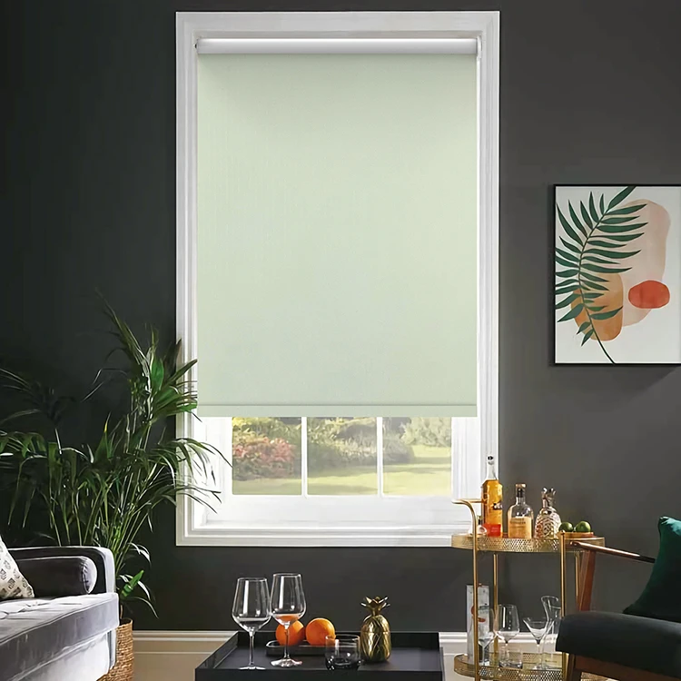 FREE SAMPLE Customized Blackout Wifi Control Shades Dual Tuya Zigbee Electric Motor Window Motorized Day And Night Roller Blinds