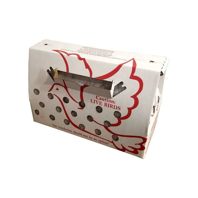 Vented Shipping Box Pigeon Chicken Live Bird Shipping Boxes