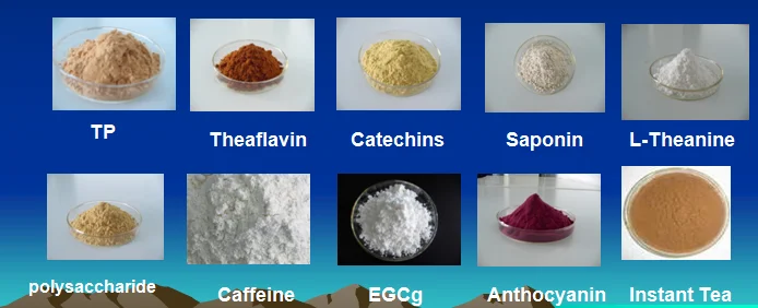 100% Organic Green Tea Extract Powder 20%~98% L-theanine Green Tea Polyphenols HPLC