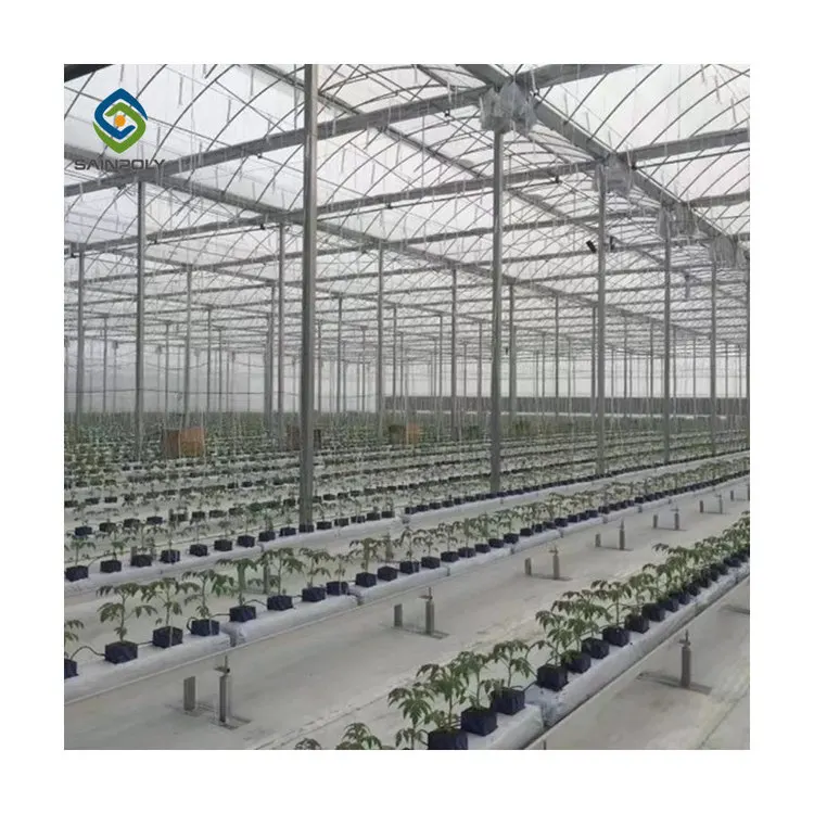 Multi-span agricultural plastic products plastic shed film green houses greenhouse with hydroponic growing systems