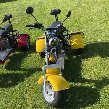 new arrival double battery tricycle electric citycoco electric passengers tricycle EEC/COC