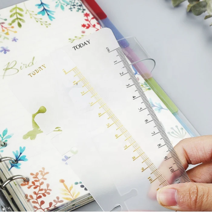 Hot Selling Plastic Ruler PP Matt Frosted Planner Agenda for Loose Leaf Spiral Notebook Organizer