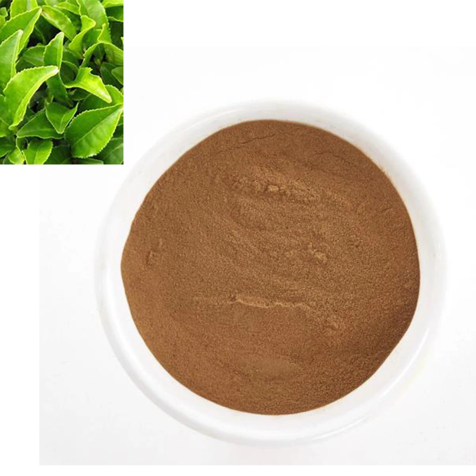 Chinese wholesale herb extract green tea extract EGCG anti-aging tea polyphenols powder