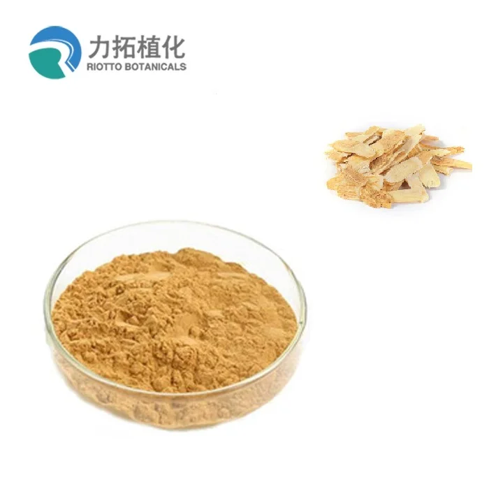 
large supply Astragalus extract 