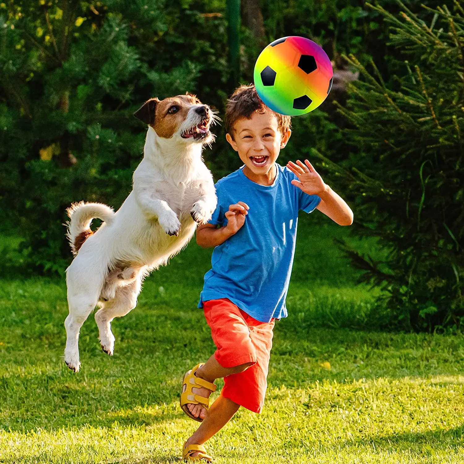 Kids and Toddlers rainbow sports ball Toys - 6 Inch  inflatable eon Basketball ,Soccer Ball, and Volleyball