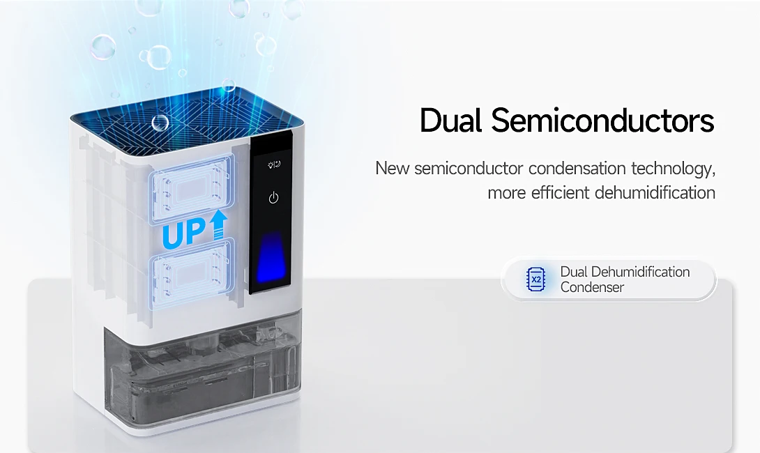 20240806-Macro-duo-_06