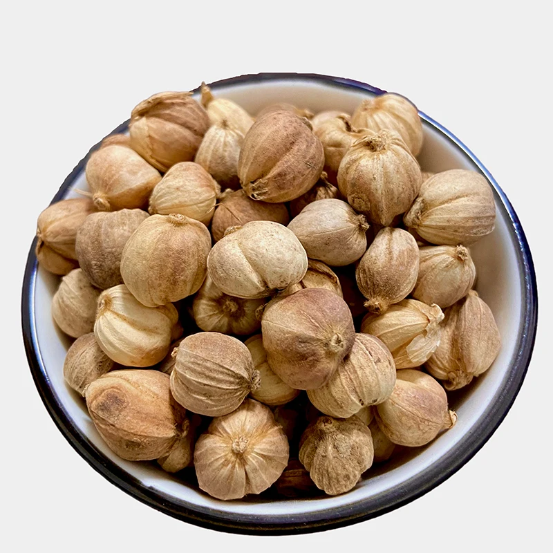 Organic Wholesale Dried White Cardamom Powder Nutmeg Herb for Cooking  100% Natural Seasoning Fresh Cardamom Seed