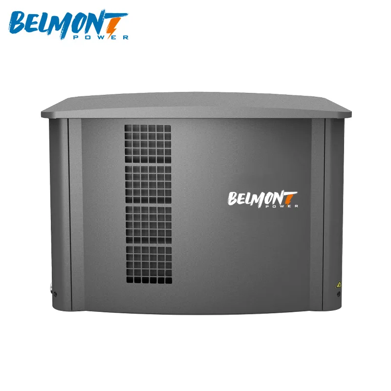 5.5kw 6kw 230v 400v 20kva 25kva 36kva 20kw 22kw 23kw 300kva Home Standby Powered Inverter Electric Home Natural Gas Generator