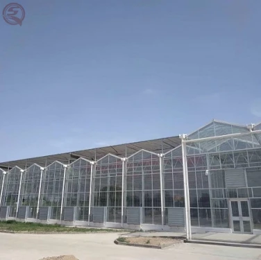 China manufacturer large agricultural garden greenhouses beautiful appearance polycarbonate sheets greenhouse