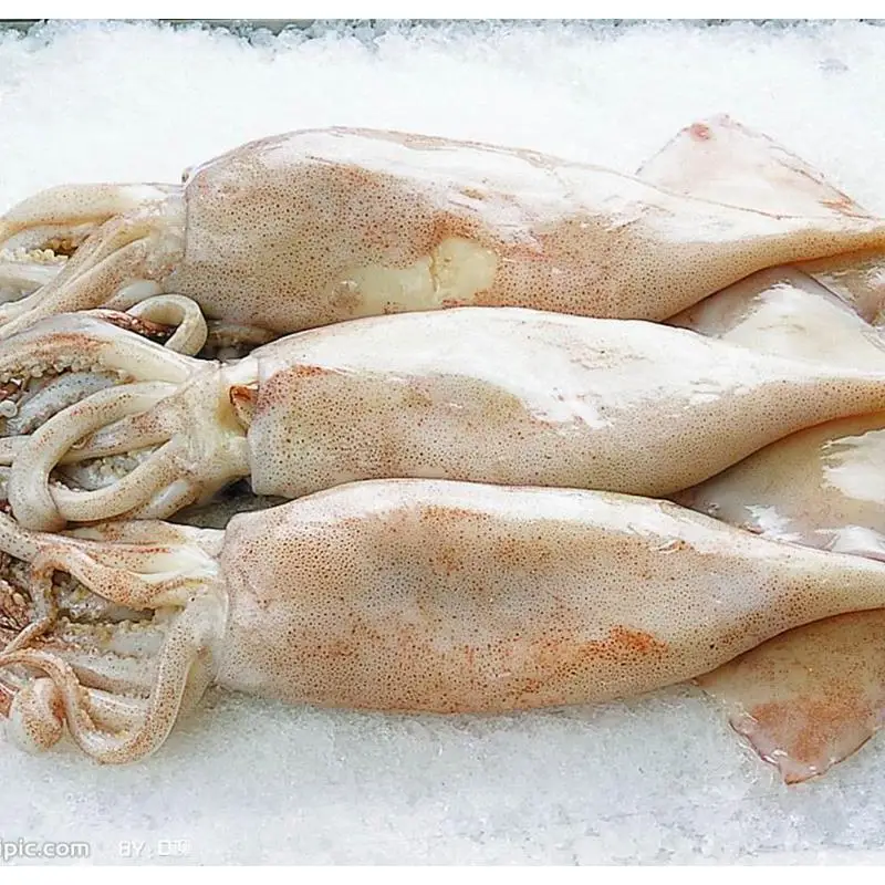 Aquatic Feed Squid Liver Powder/Squid Meal