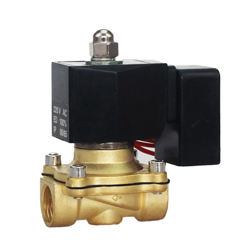Ac220v / Ac110v / Dc24v Brass Solenoid Valve For Water Normally Open/closed 2 Way Outdoor Waterproofing Brass Solenoid Valve