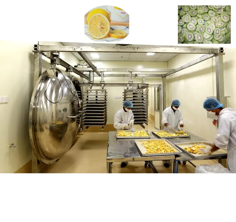 Горячая Распродажа! shaoxing shangyu машина для обработки фруктов и овощей FD Вакуумная сушилка для сушки