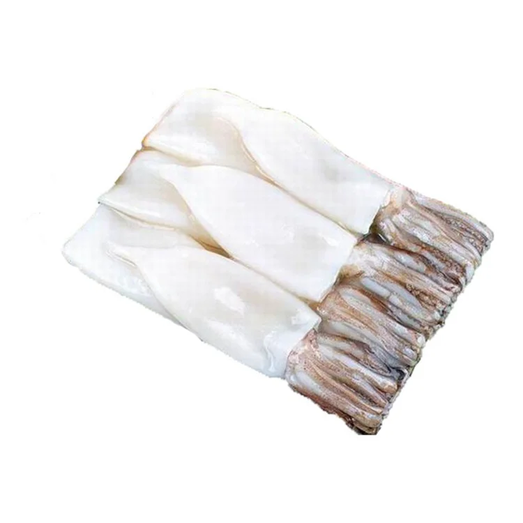 
Best quality IQF frozen calamary whole round giant squid T+T with skin on tentacles for market sales for Korea 