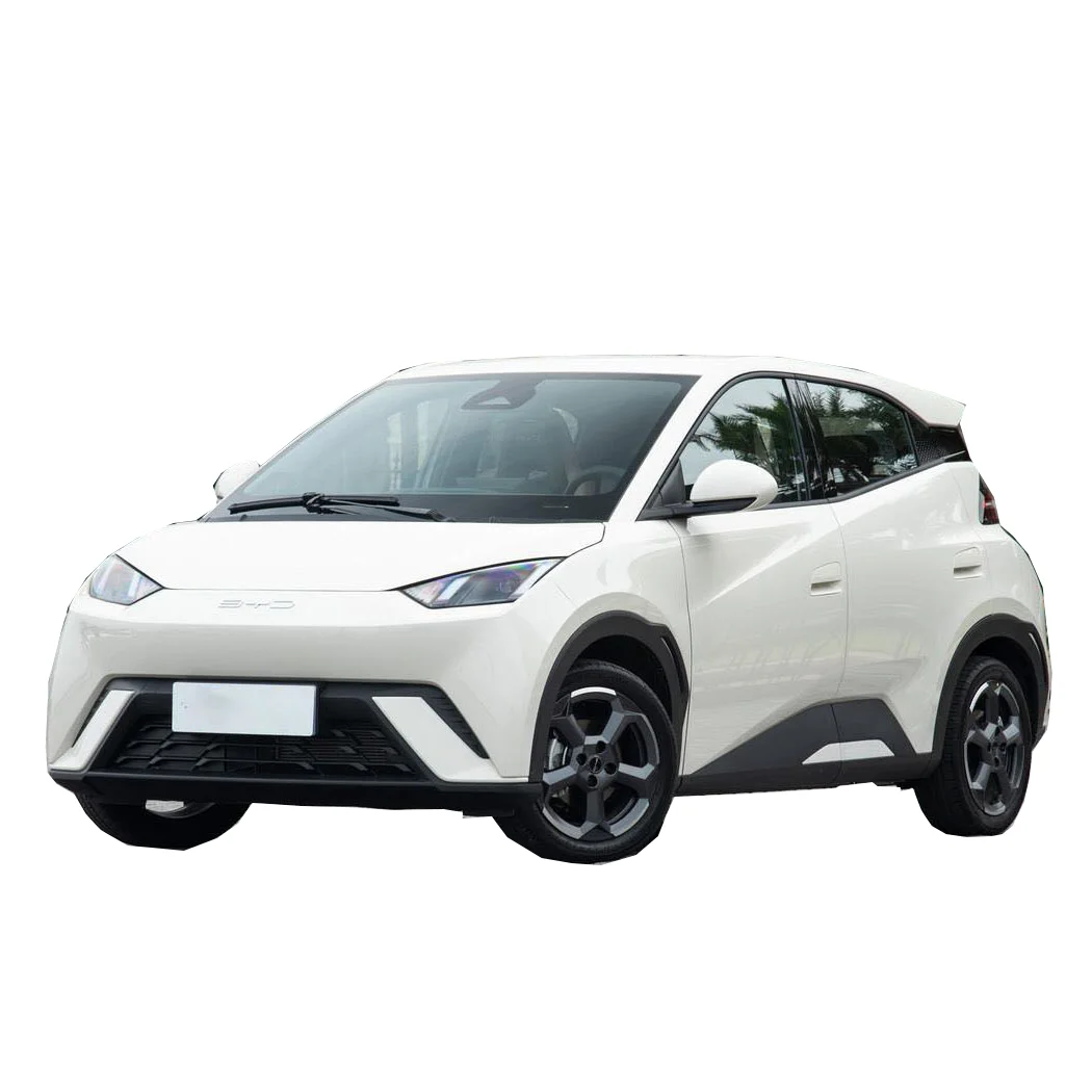 Hot goods BYD Seagull 2024 Glory version 305 KM vitality version green pure electric vehicle spot sale