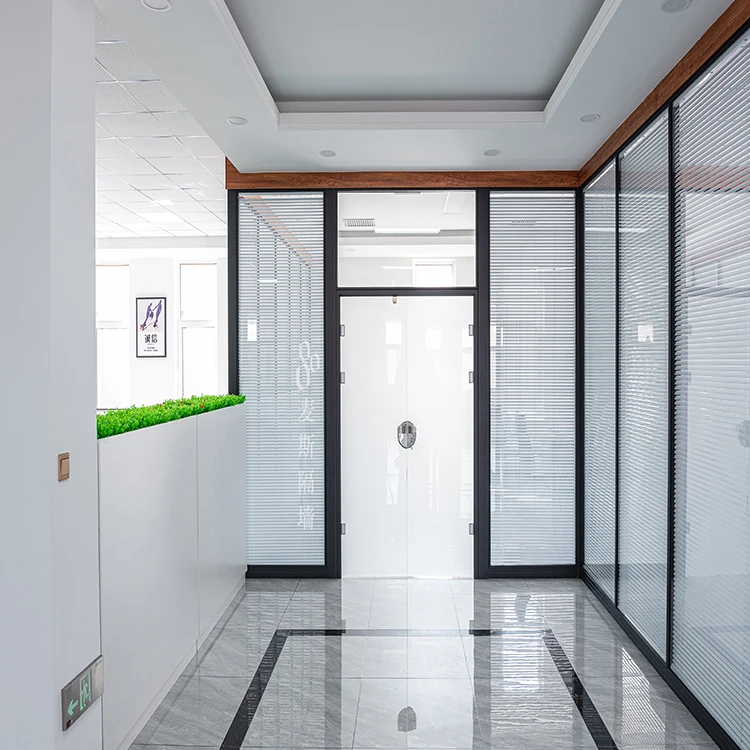 Traditional  Frameless  Glass  Door Privacy Tempered Glazing Door