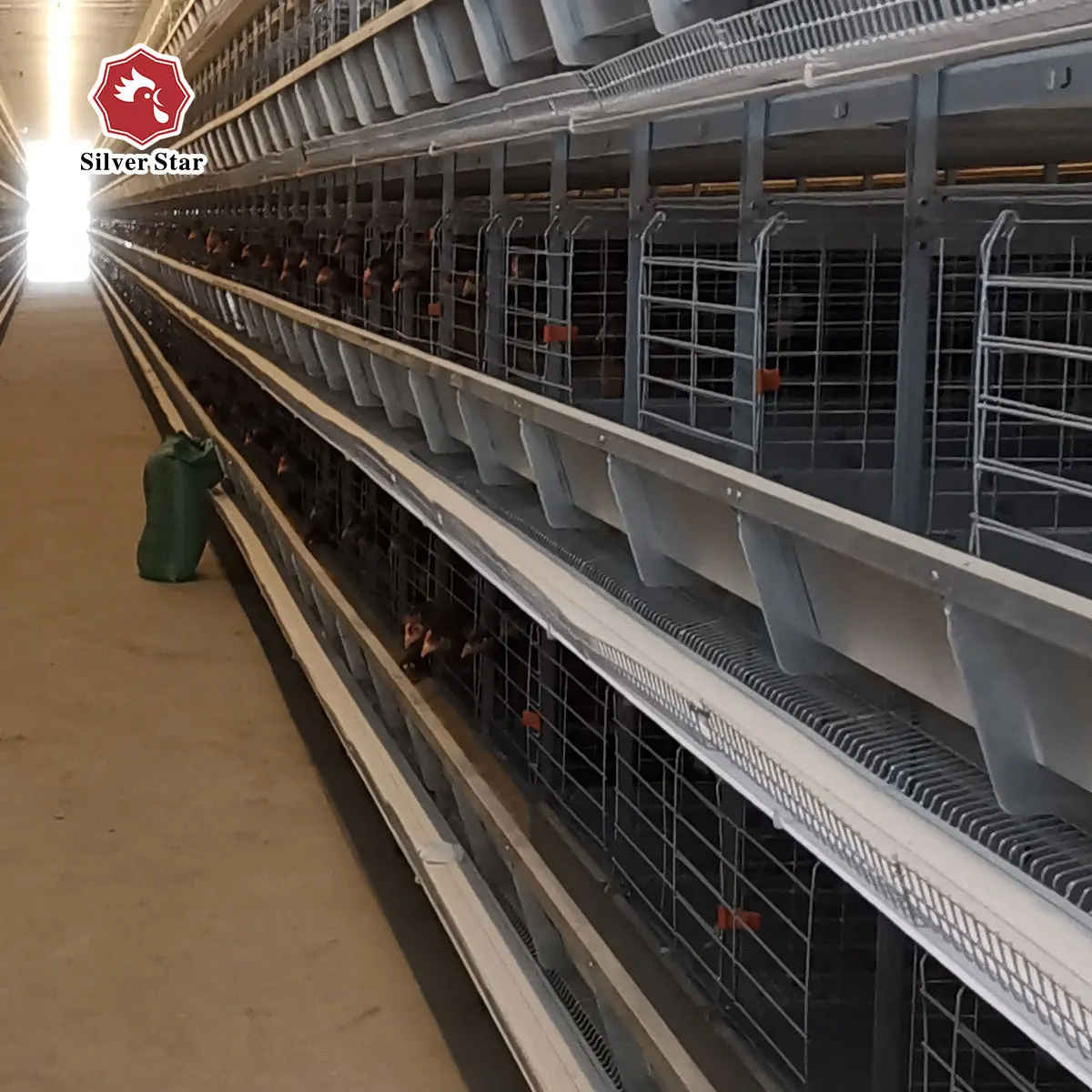 Automatic Stroller Seeding Machine For Farm Poultry Chicken Cage