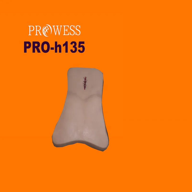 PRO-H135 Advanced Full function nursing training model(male)&nursing training manikin