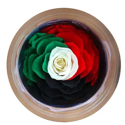 Wholesale AA Grade A Premium Quality 9-10cm Rainbow Preserved Rose Head