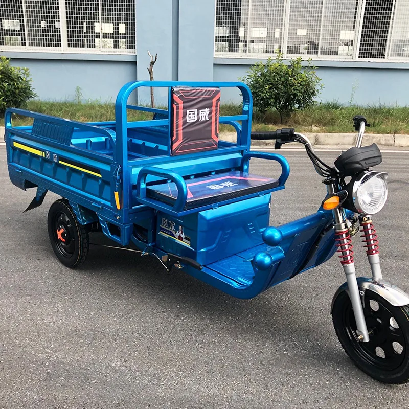 cheap 20A 32A 45A adult heavy duty farm electric cargo tricycle 800w 1000w china for