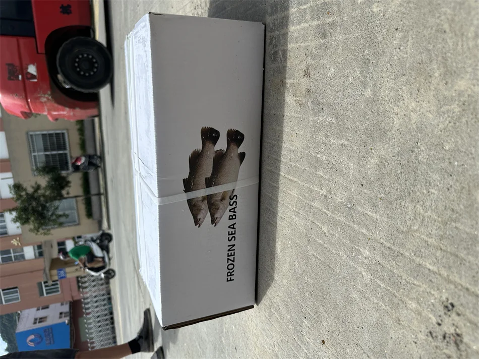 IQF Wholesale Baramundi Frozen Sea Bass