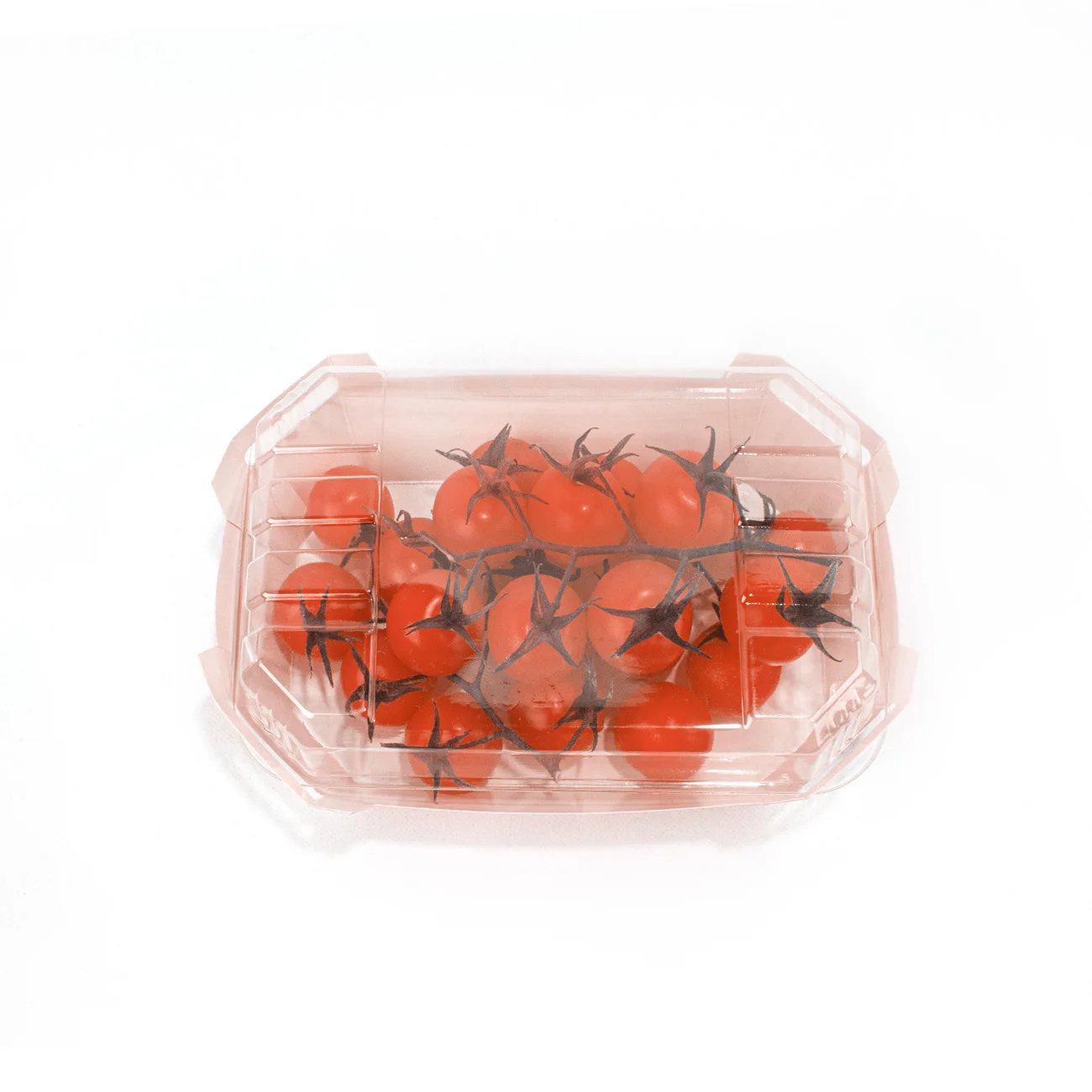 Wholesale Custom Printed Cardboard Fruit Berry Packaging Paper Baskets Tray With Plastic Lid