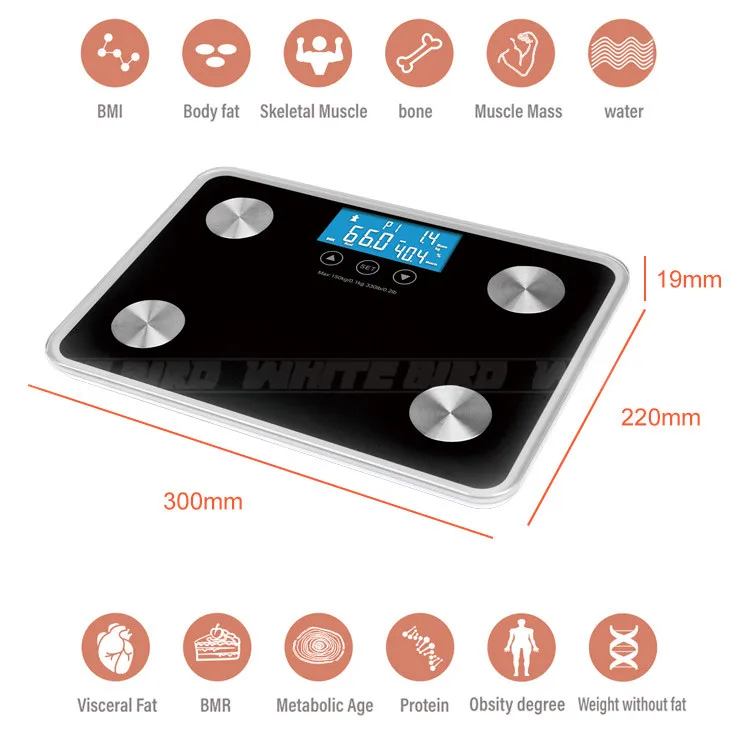 Factory Direct Sale Wifi Body Weight White Electronic Fat Scale smart body fat scale digital bathroom scale