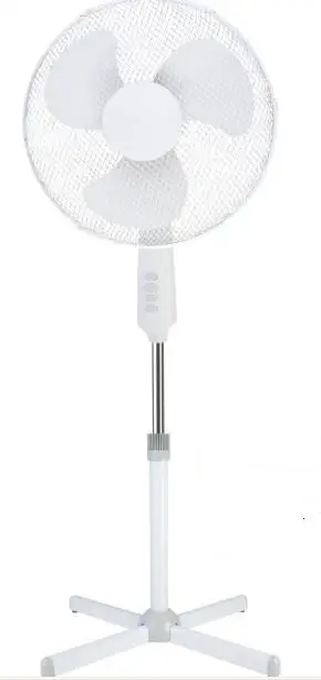 40B-4 WHOLE WHITE.jpg