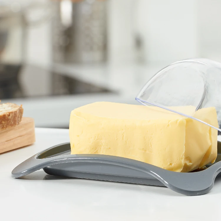 Butter Cheese Dish with Lid Good Quality Food Grade Rectangle Plastic Plate Dish PS Color Box N/A Pattern Modern Everyday 0.09