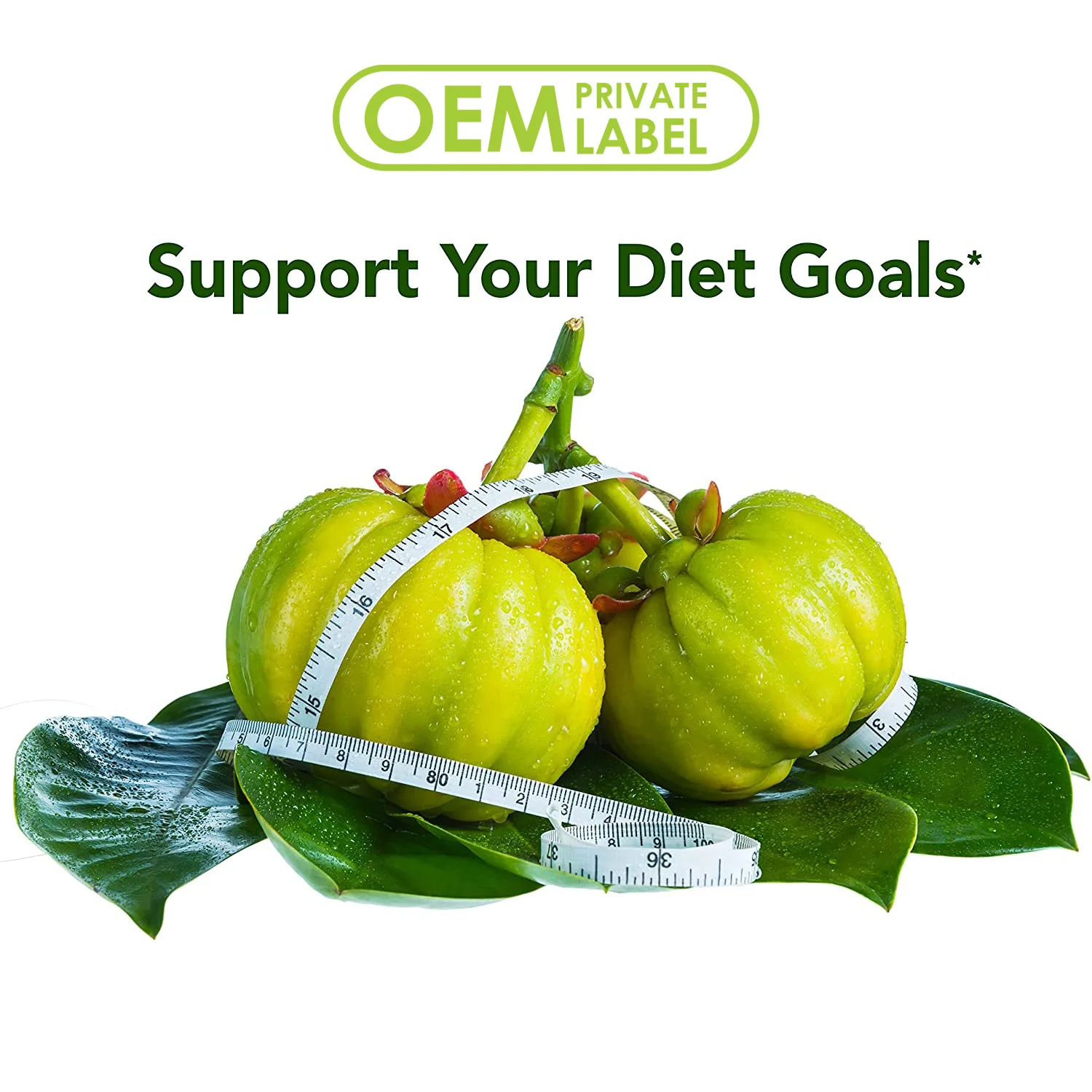 Custom Best Natural Herbal Garcinia Cambogia Extract Capsules