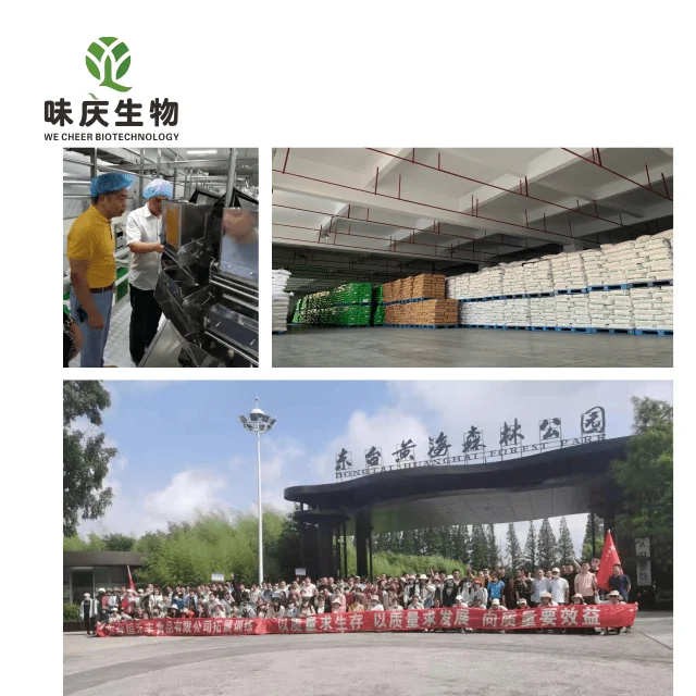 Potassium sorbate factory supply good pirce